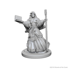 D&D Nolzurs Marvelous Unpainted Miniatures Human Female Wizard