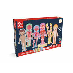 PREORDER Hape - Puzzles: Human Body Magnetic Puzzle