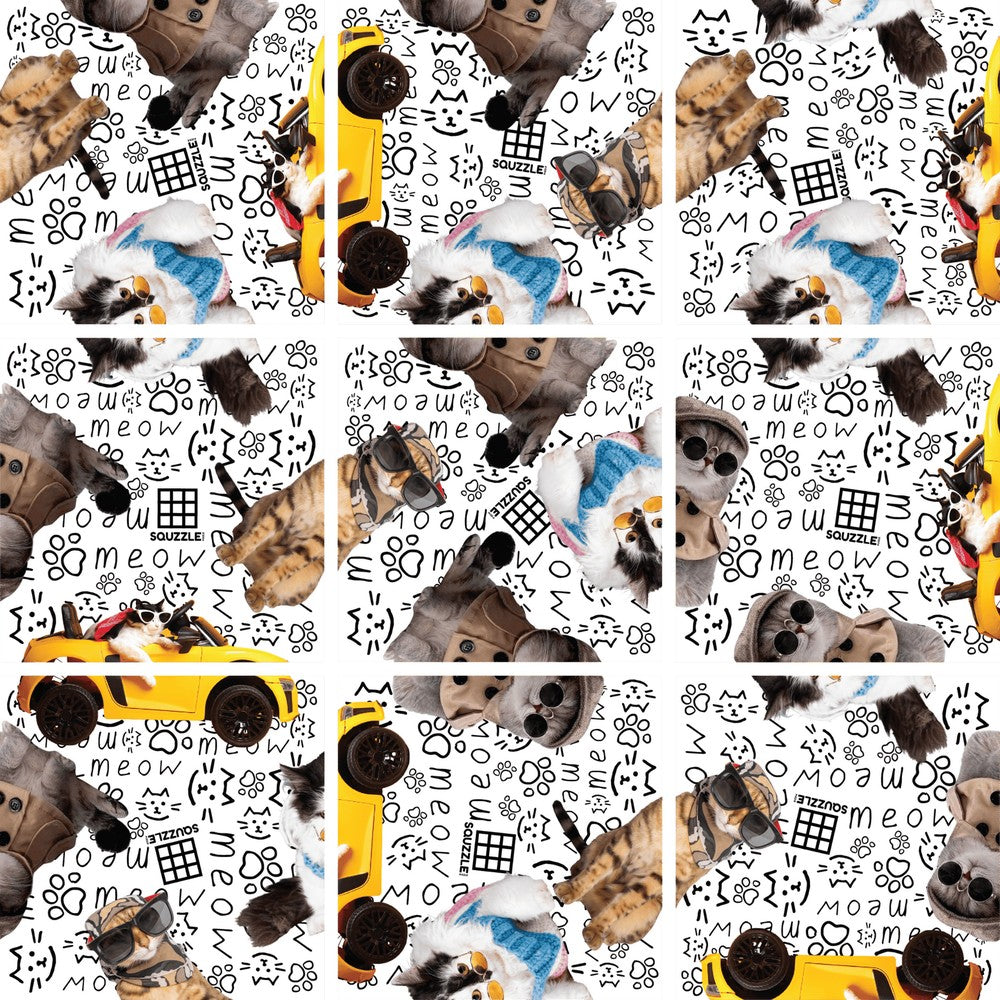 PREORDER Squzzle Puzzle Cool Cats