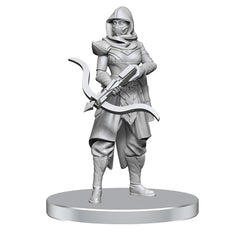 D&D Nolzurs Marvelous Miniatures: Assassin & Berserker