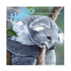 Hello Koala