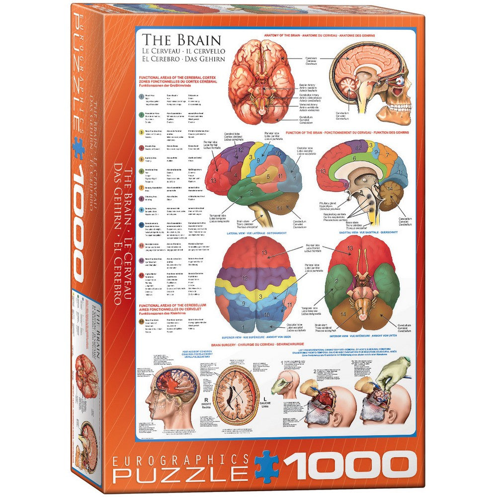 Puzzle - Eurographics - The Brain 1000pc