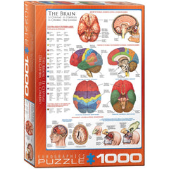 Puzzle - Eurographics - The Brain 1000pc