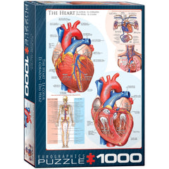 Puzzle - Eurographics - The Heart 1000pc