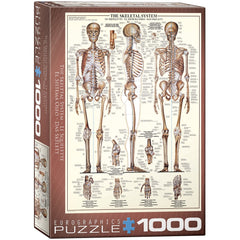 Puzzle - Eurographics - The Skeletal System 1000pcs