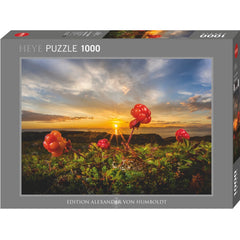 Puzzle - Heye - Von Humbold;Cloudberries 1000P