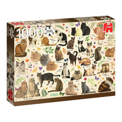 Puzzle - Jumbo - Francien Cats Poster 1000Pcs