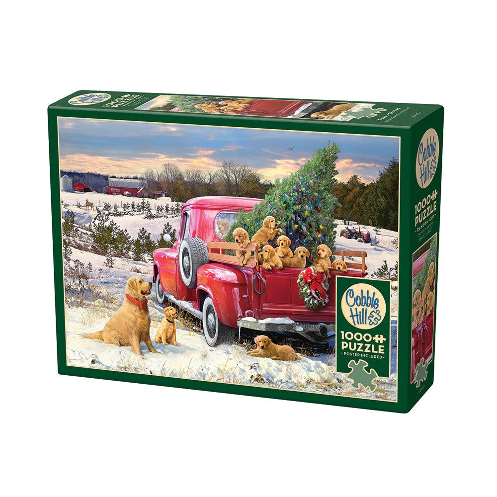 Puzzle - Cobble Hill - Family Outing 1000Pc