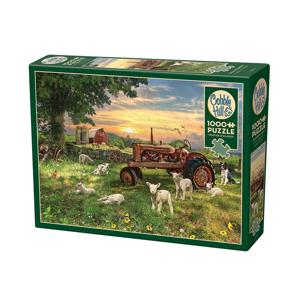 Puzzle - Cobble Hill - Field At Sunrise 1000Pc