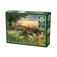 Puzzle - Cobble Hill - Field At Sunrise 1000Pc