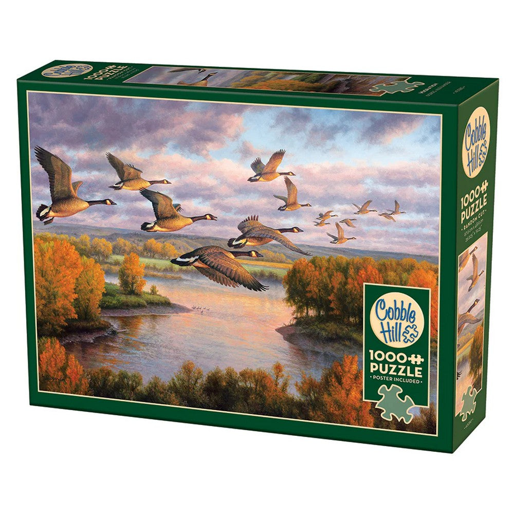 Puzzle - Cobble Hill - Migration 1000Pc