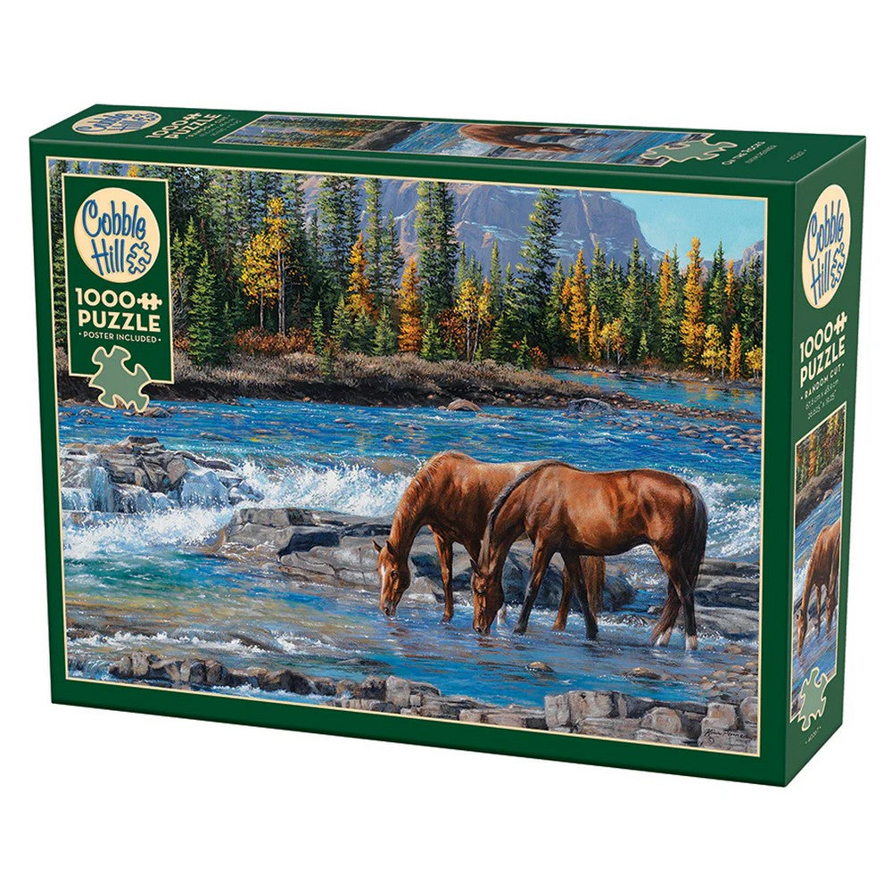 Puzzle - Cobble Hill - On The Rocks 1000Pc
