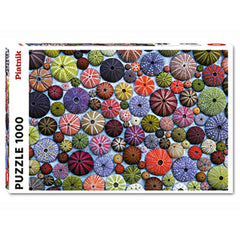 Puzzle - Piatnik - Sea-Urchin Shells 1000Pc