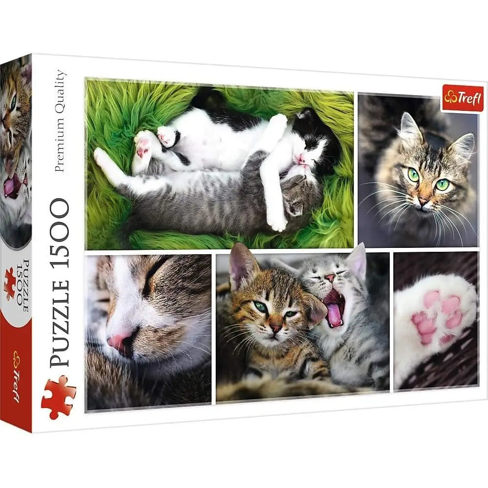 Puzzle - Trefl Park - Just Cat Things! 1500Pc