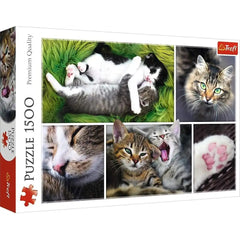 Puzzle - Trefl Park - Just Cat Things! 1500Pc
