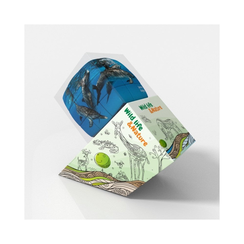 PREORDER V-Cube Dolphins 3X3 Pillow