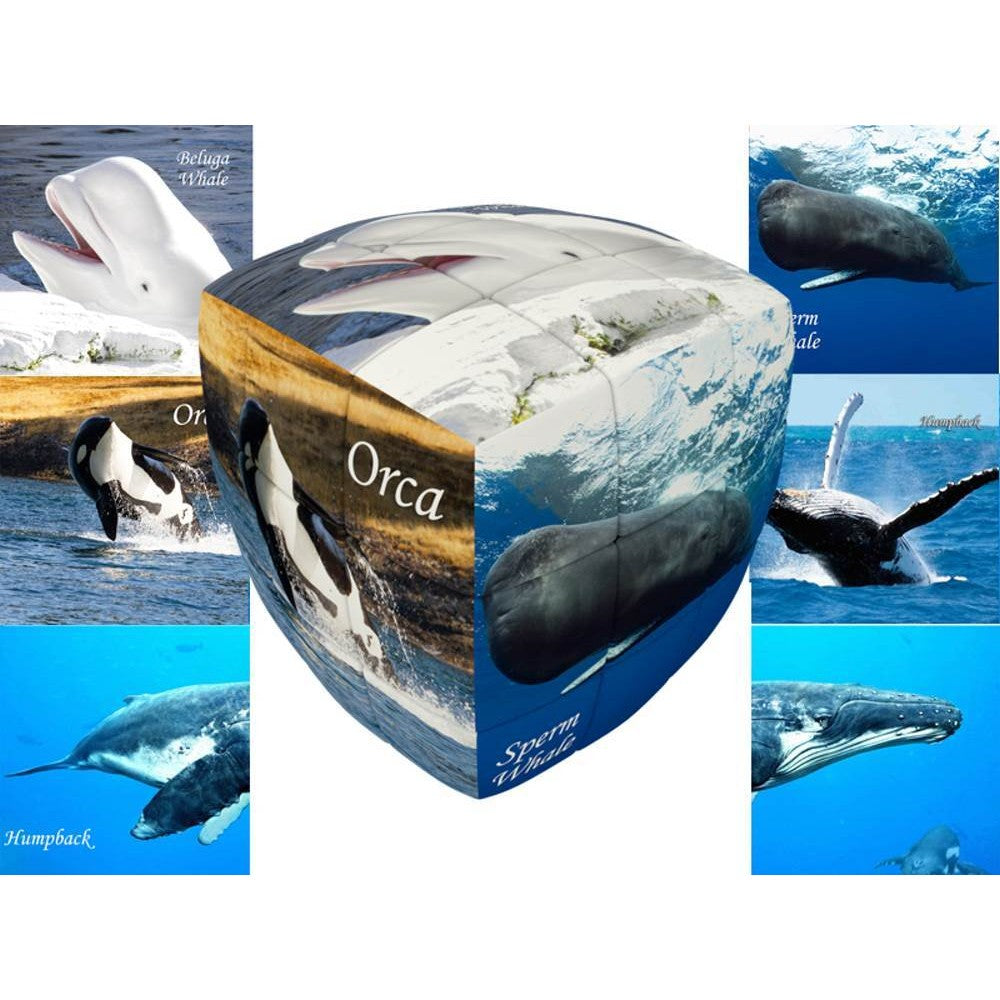 V-Cube Whales 3X3 Pillow