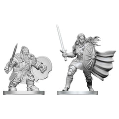 D&D Nolzurs Marvelous Miniatures: Dwarf Fighter & Orc Paladin
