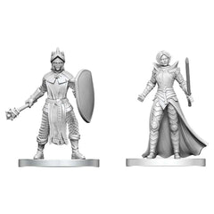 D&D Nolzurs Marvelous Miniatures: Black Gauntlet & Zhentilar Paladin of Bane