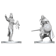 D&D Nolzurs Marvelous Miniatures: Drow Elite Warrior & Drow Priestess of Lolth