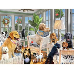 Prime 3D Puzzles - Giordano - Dogs in the Sunroom - 500pc