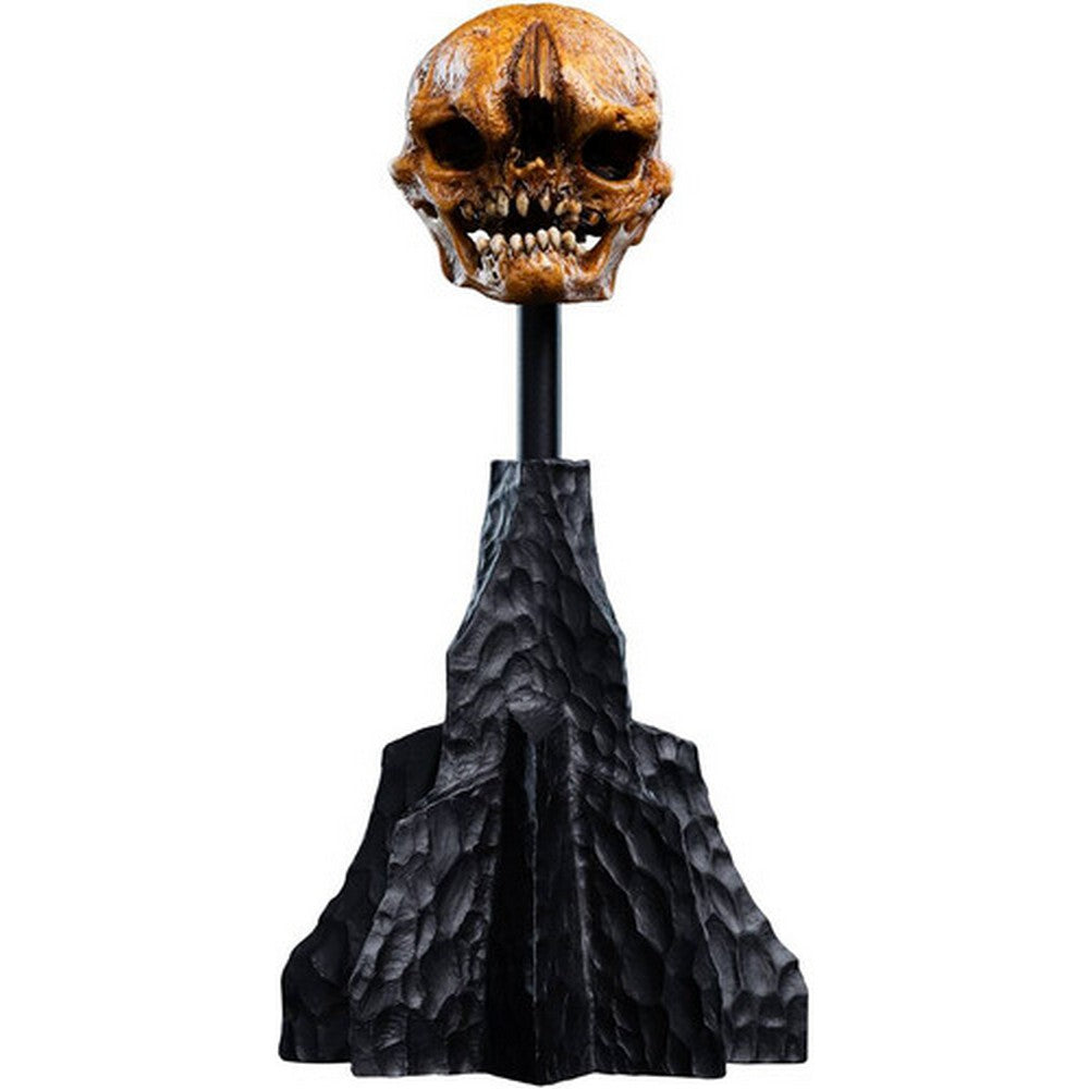 PREORDER WETA - The Hobbit Trilogy - Skull of a Misty Mountain Goblin