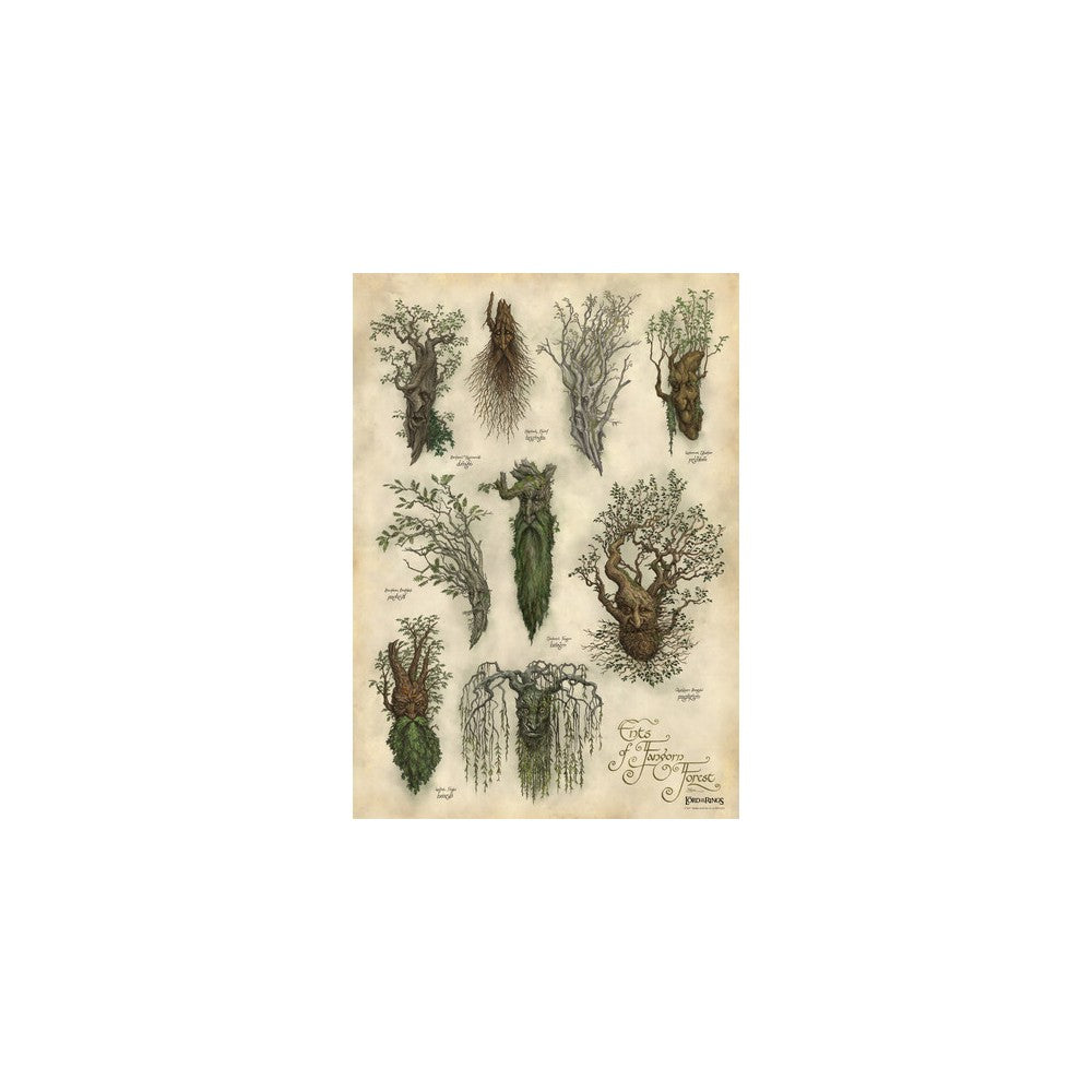 PREORDER WETA - The Lord of the Rings Trilogy - Art Print - Ents of Fangorn Forest