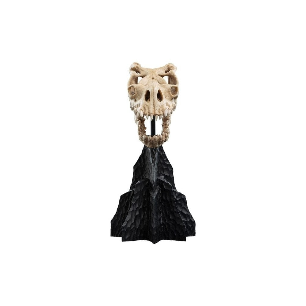 PREORDER WETA - The Lord of the Rings Trilogy - Skull of a Fell Beast