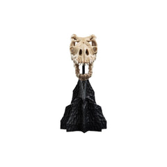 PREORDER WETA - The Lord of the Rings Trilogy - Skull of a Fell Beast