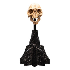 PREORDER WETA - The Lord of the Rings Trilogy - Skull of a Moria Orc
