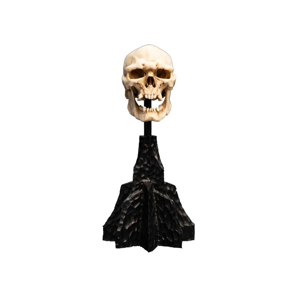 PREORDER WETA - The Lord of the Rings Trilogy - Skull of a Mordor Orc