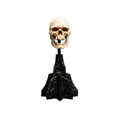PREORDER WETA - The Lord of the Rings Trilogy - Skull of a Mordor Orc
