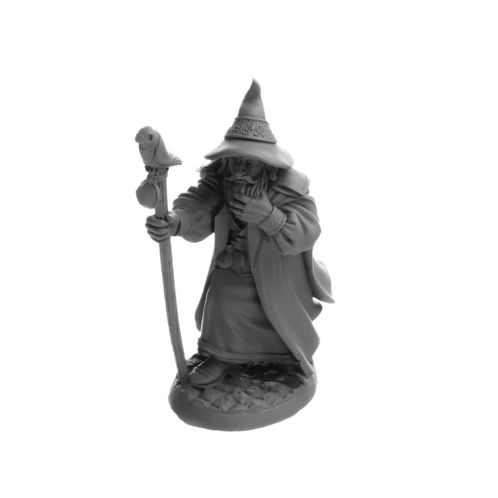 PREORDER Reaper: Dungeon Dwellers: Landol Griwsold - Human Wizard (Plastic)