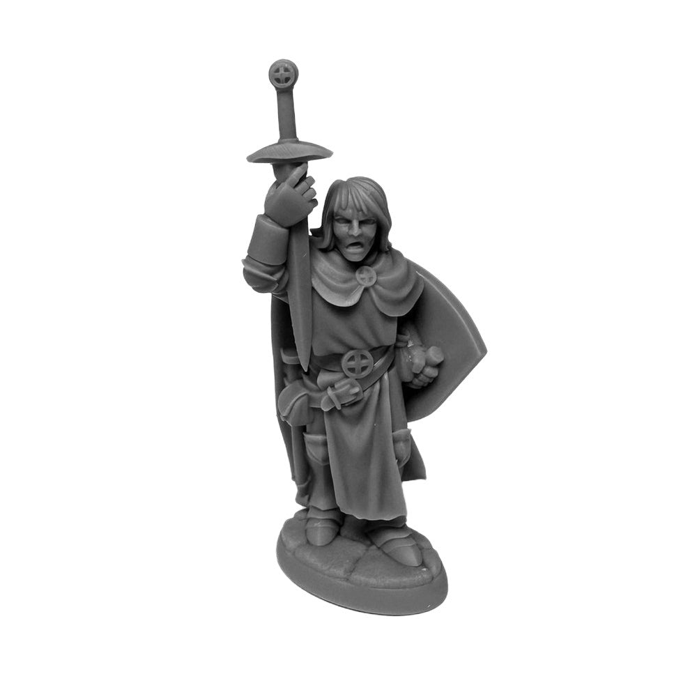 PREORDER Reaper: Dungeon Dwellers: Sir Danarel the Holy (Plastic)