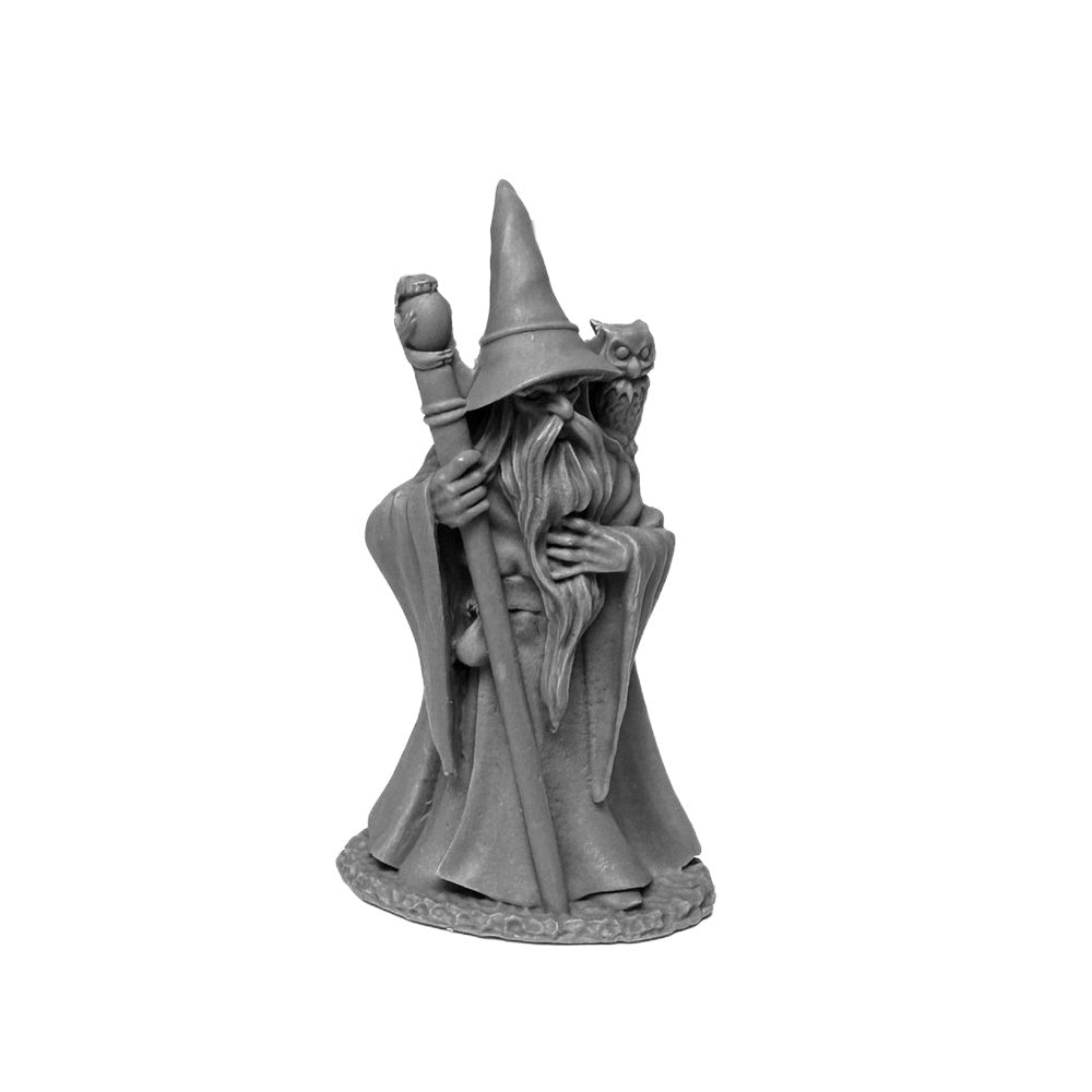 PREORDER Reaper: Dungeon Dwellers: Anuminar Winterbeard - Wizard (Plastic)