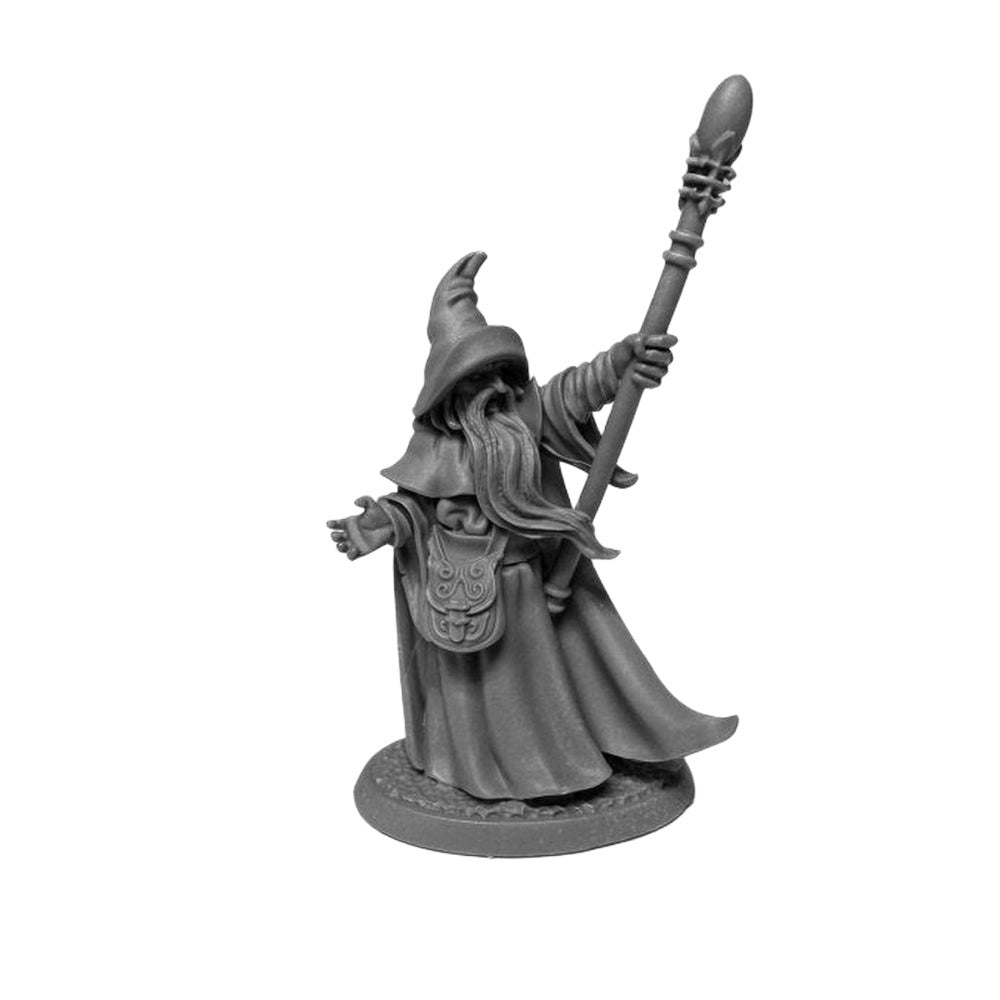 PREORDER Reaper: Dungeon Dwellers: Arakus Landarzad - Wizard (Plastic)