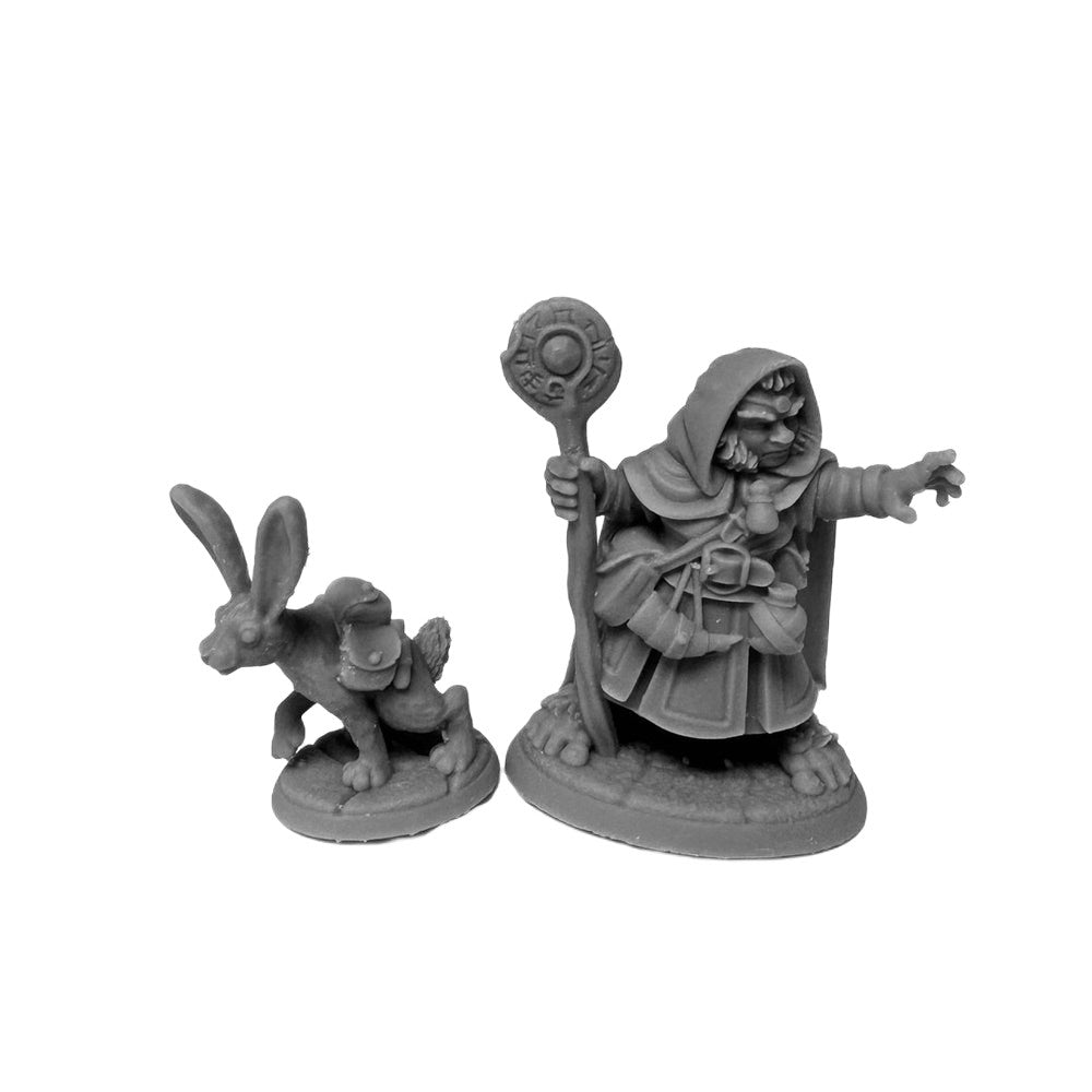 PREORDER Reaper: Dungeon Dwellers: Hollis Grayheath and Verbena (Plastic)