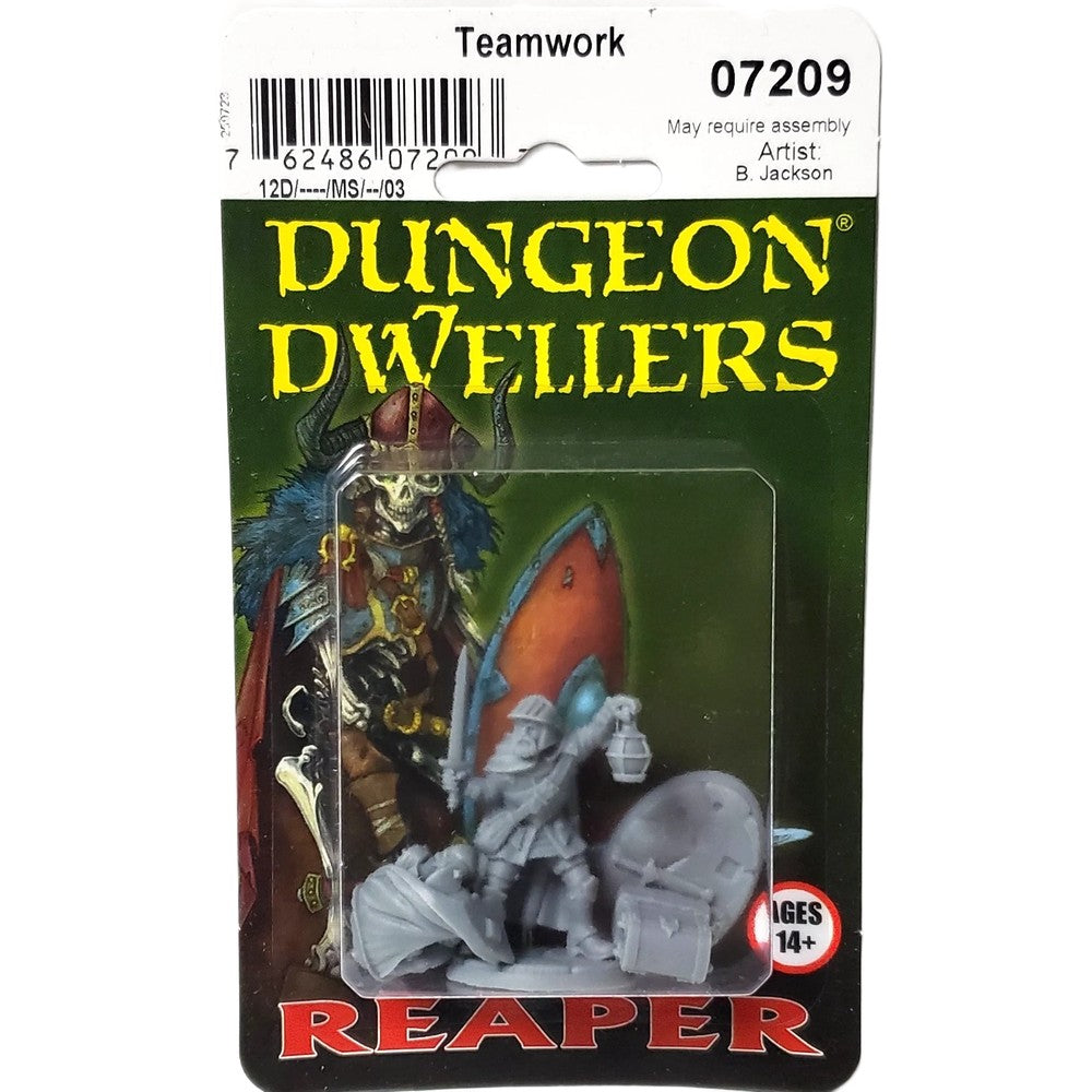 PREORDER Reaper: Dungeon Dwellers: Teamwork (Plastic)