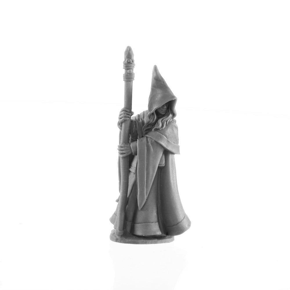 PREORDER Reaper: Bones USA Reaper Legends: Anirion - Elf Wizard (Plastic)