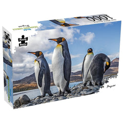 PREORDER Puzzle - BMS - Penguins