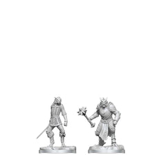 PREORDER D&D Nolzurs Marvelous Miniatures: Dragonborn Paladin & Dragonborn Squire