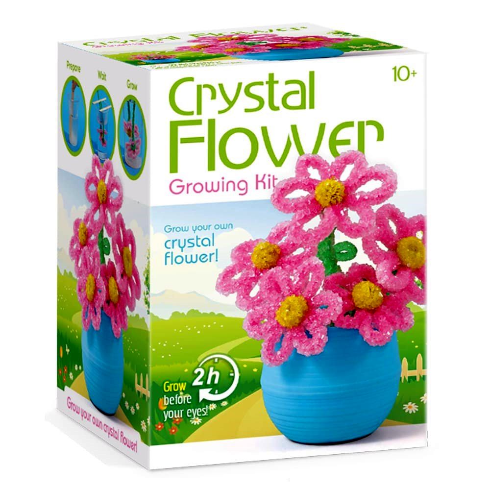 PREORDER Crystal Flower Growing Kit