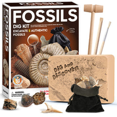PREORDER Fossil Dig Kit