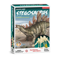 PREORDER Stegosaurus Dig Kits