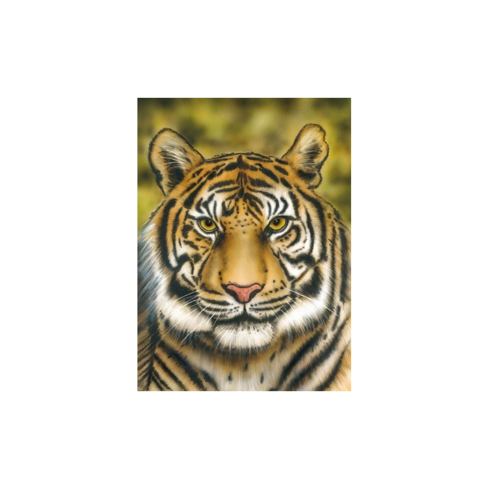 PREORDER H&S Airbrushes - stencil Tiger Wildlife - 1 XL template - ~58x96cm - solvent resistent
