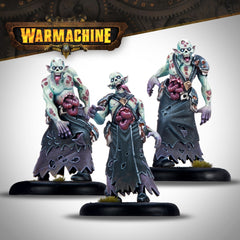 PREORDER ?WARMACHINE: Dusk Fane of Nyrro Hollowed