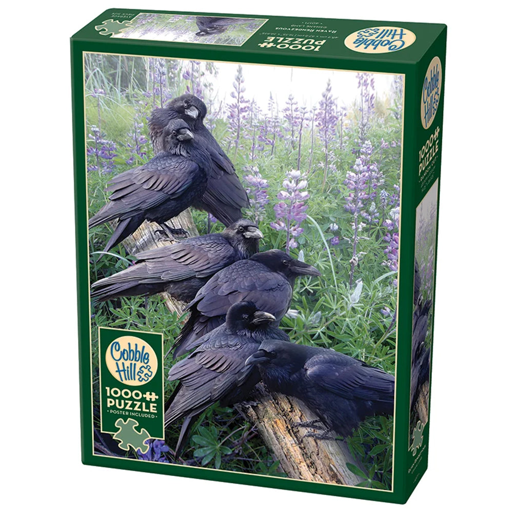 Puzzle - Cobble Hill - Raven Rendezvous - 1000pc