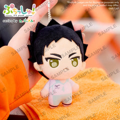 Puchish! Haikyu!! Volume1 Hajime Iwaizumi