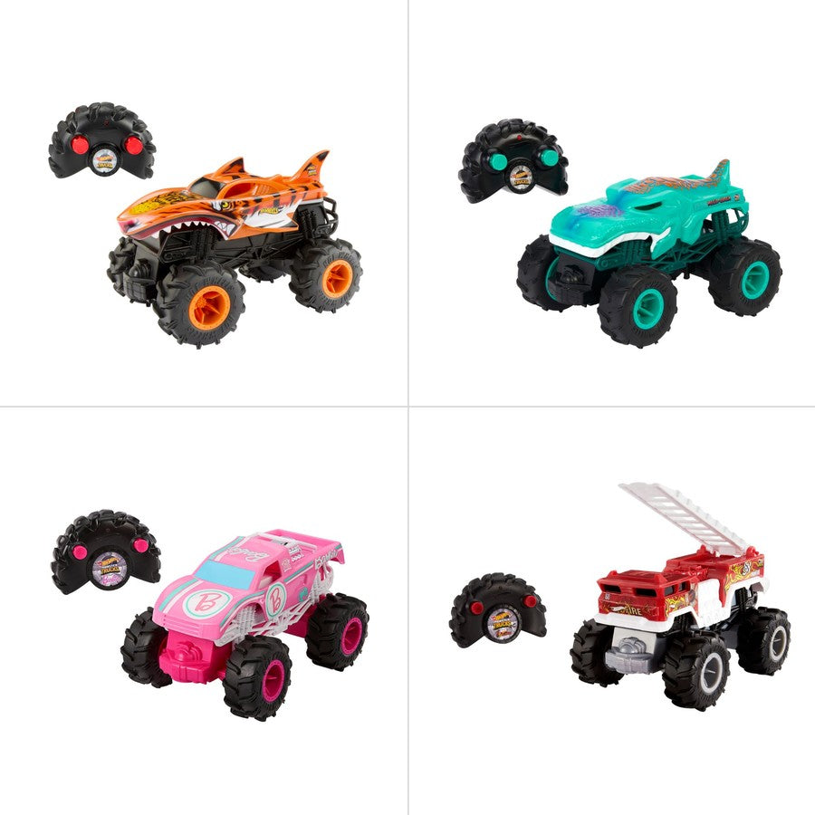 Hot Wheels - RC - Rc 1:24 Assortment (4)