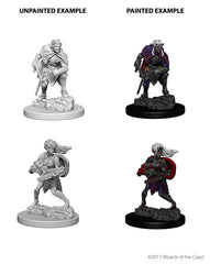 D&D Nolzurs Marvelous Unpainted Miniatures Drow